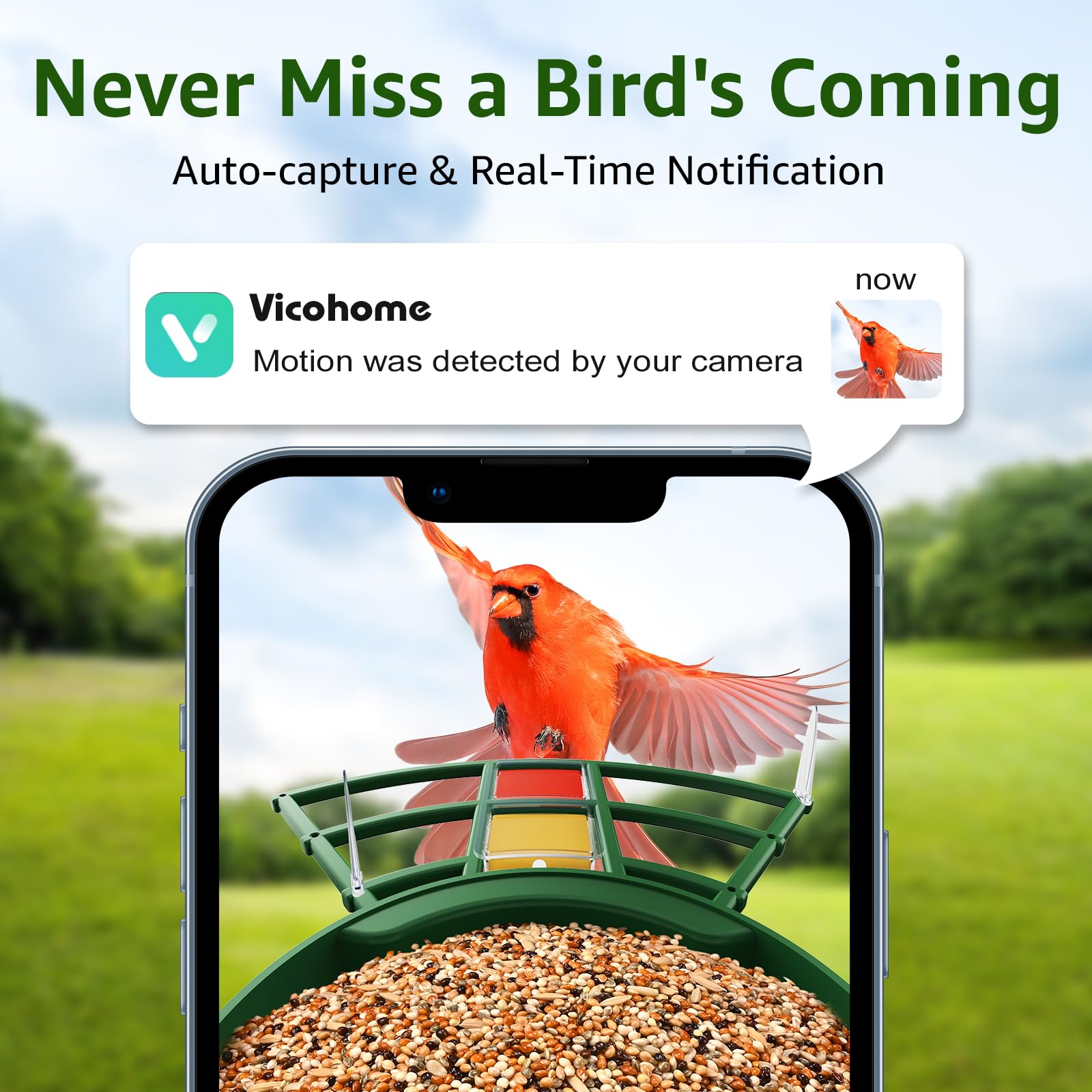 PeckCam AI bird ID identification highlights species with friendly app guidance.