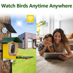 PeckCam solar-powered feeder powering continuous outdoor birdwatching.