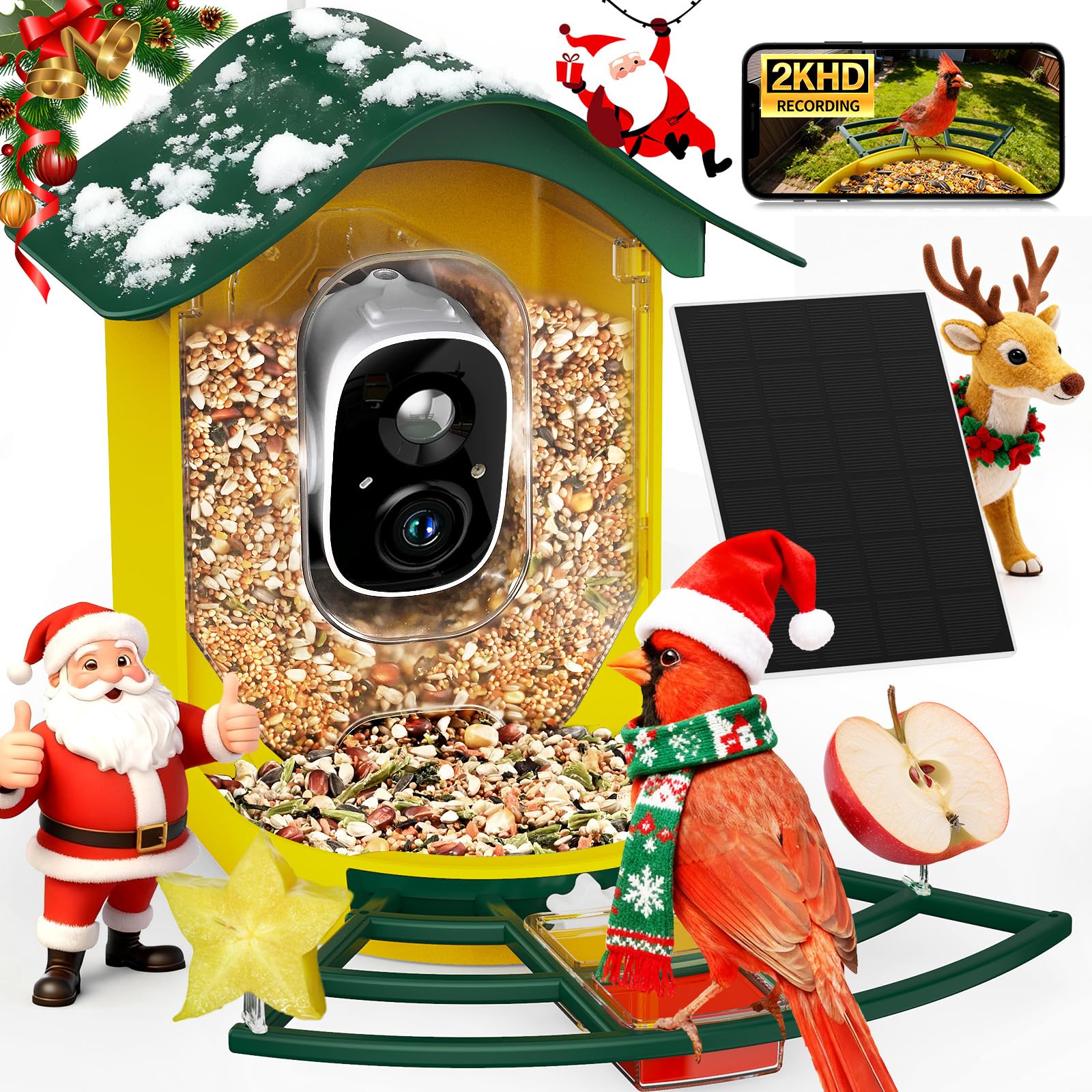 PeckCam 2K live view of backyard birds for vivid observation.