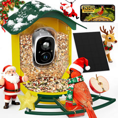 PeckCam 2K live view of backyard birds for vivid observation.