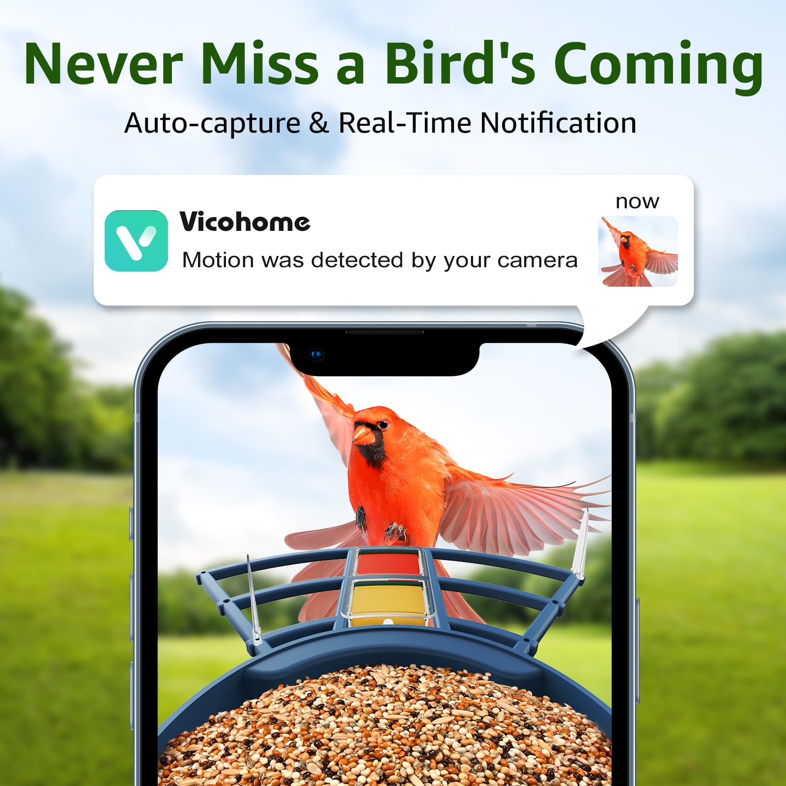 PeckCam IP65 weatherproof housing endures rain, snow, and sun for year-round use