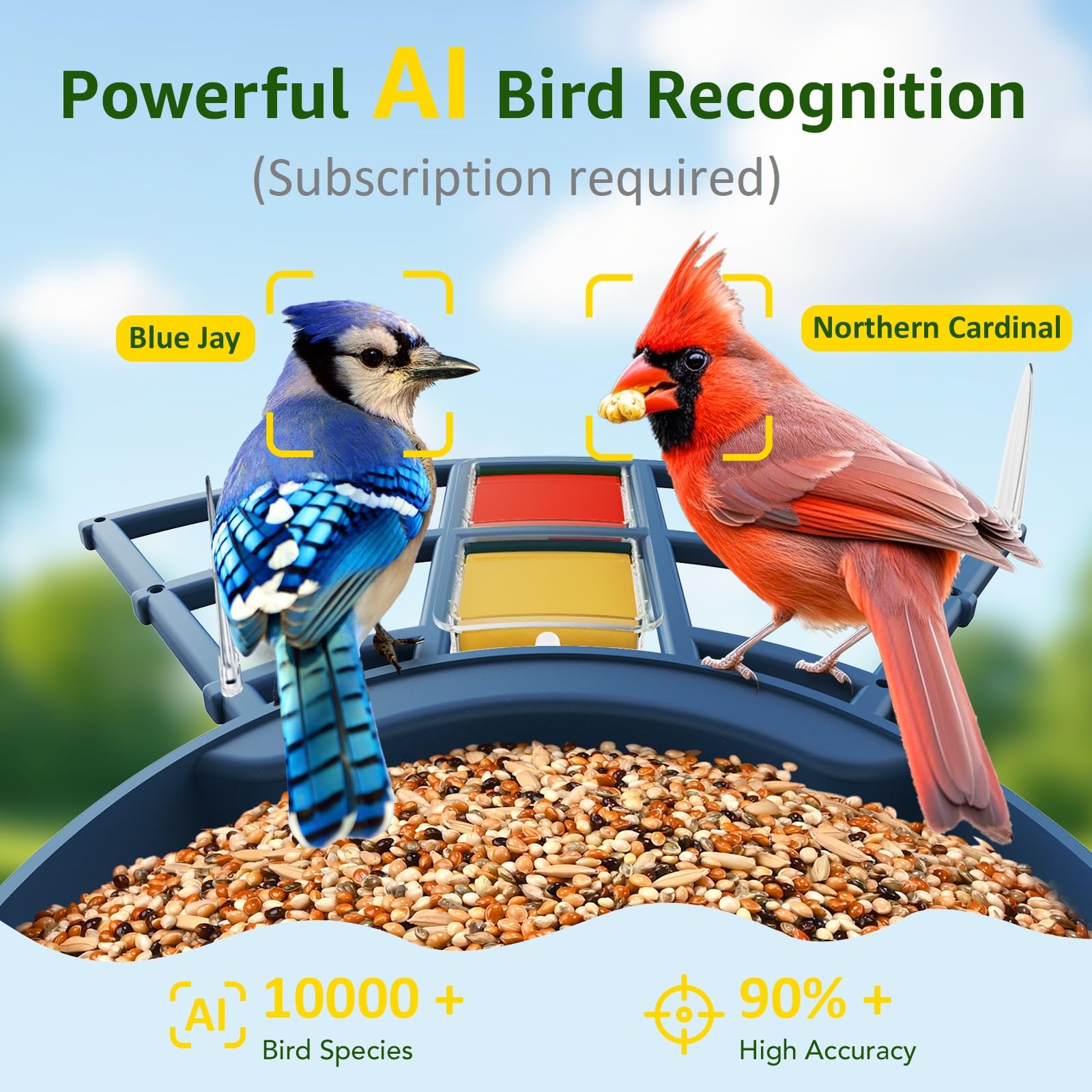 PeckCam perch attachments of fruit and jelly attract diverse backyard birds