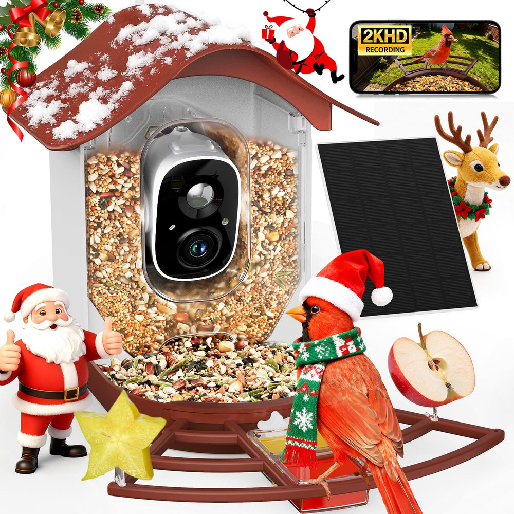 PeckCam smart bird feeder camera 2K live view for crystal-clear backyard birdwatching.