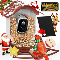 PeckCam smart bird feeder camera 2K live view for crystal-clear backyard birdwatching.