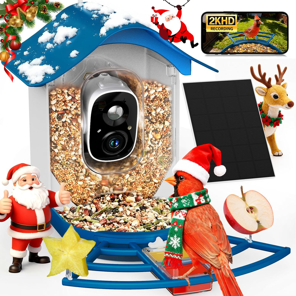 PeckCam Smart Bird Feeder Camera 2K view captures crisp backyard birds for anytime viewing