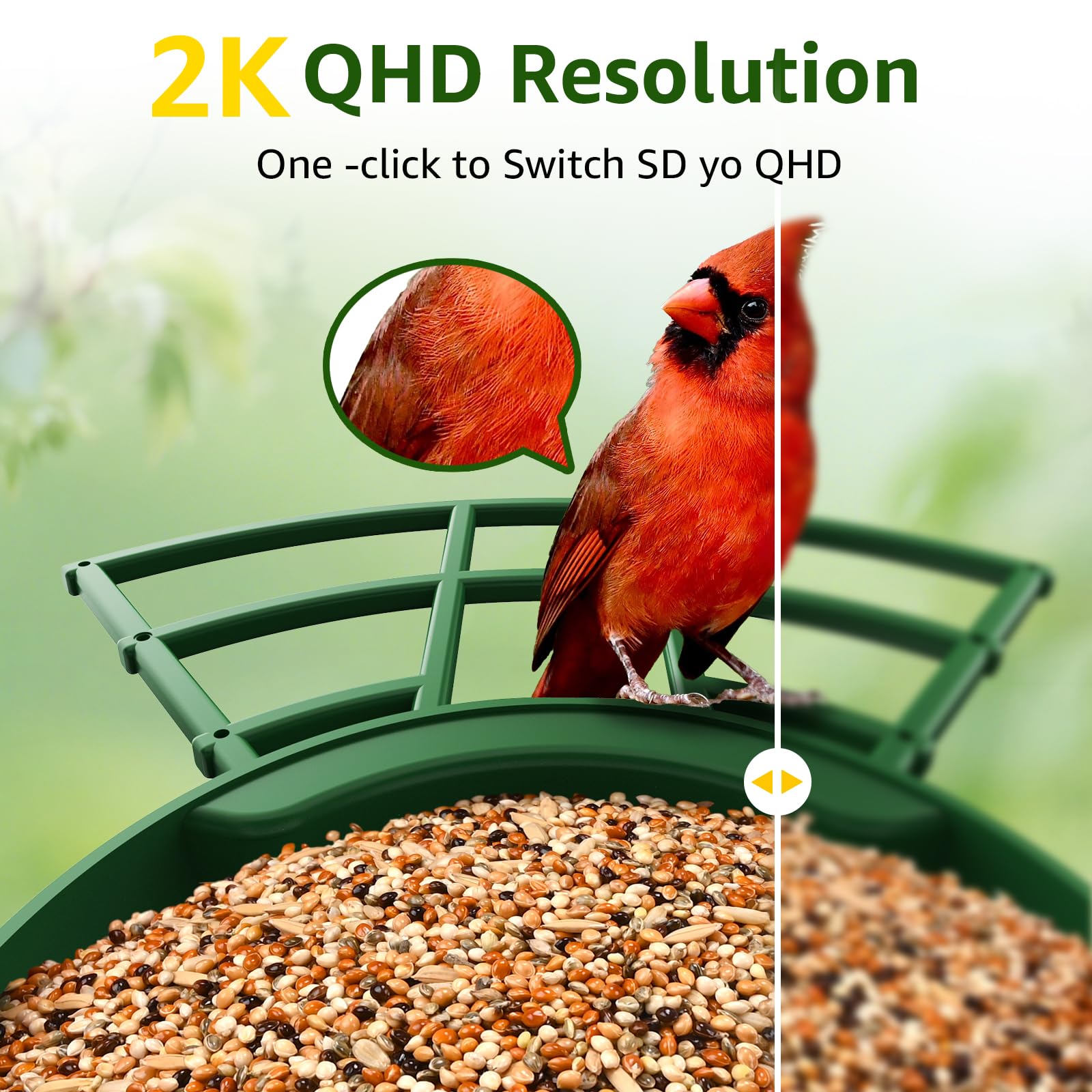 PeckCam Smart Bird Feeder camera feed shows birds in action for real-time viewing.