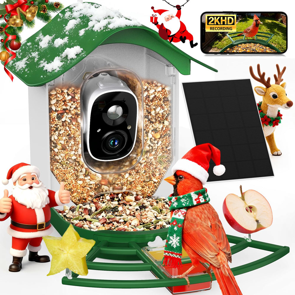 PeckCam Smart Bird Feeder front view with vivid 2K video for backyard birdwatching.