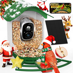 PeckCam Smart Bird Feeder front view with vivid 2K video for backyard birdwatching.