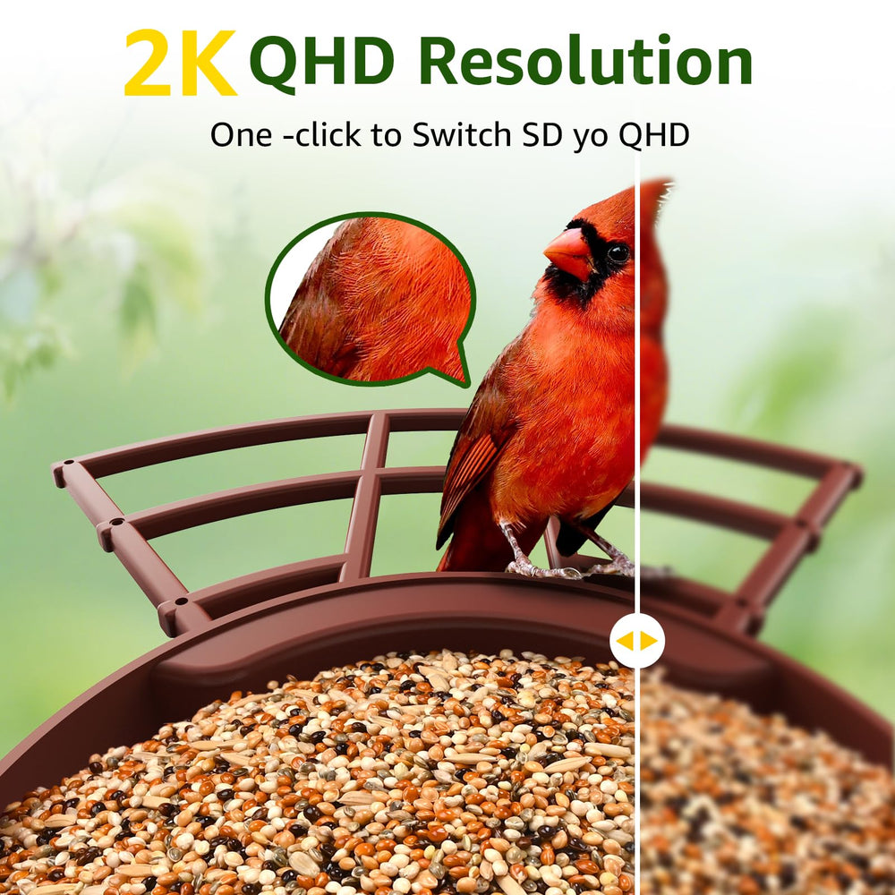 PeckCam solar panel bird feeder enhances battery life with sunset-to-sunrise operation.