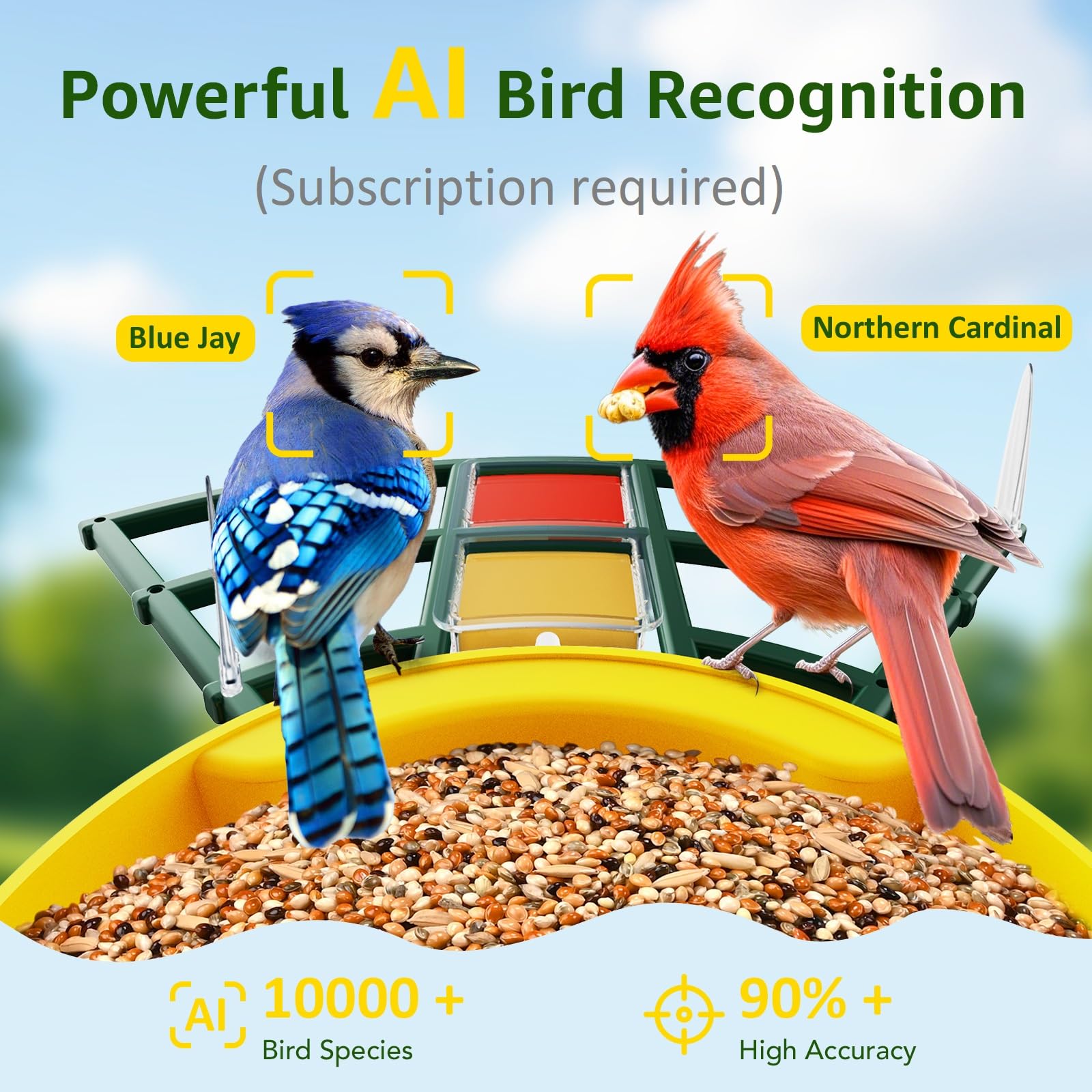 PeckCam fruit jelly perch attachments attract more visiting birds.