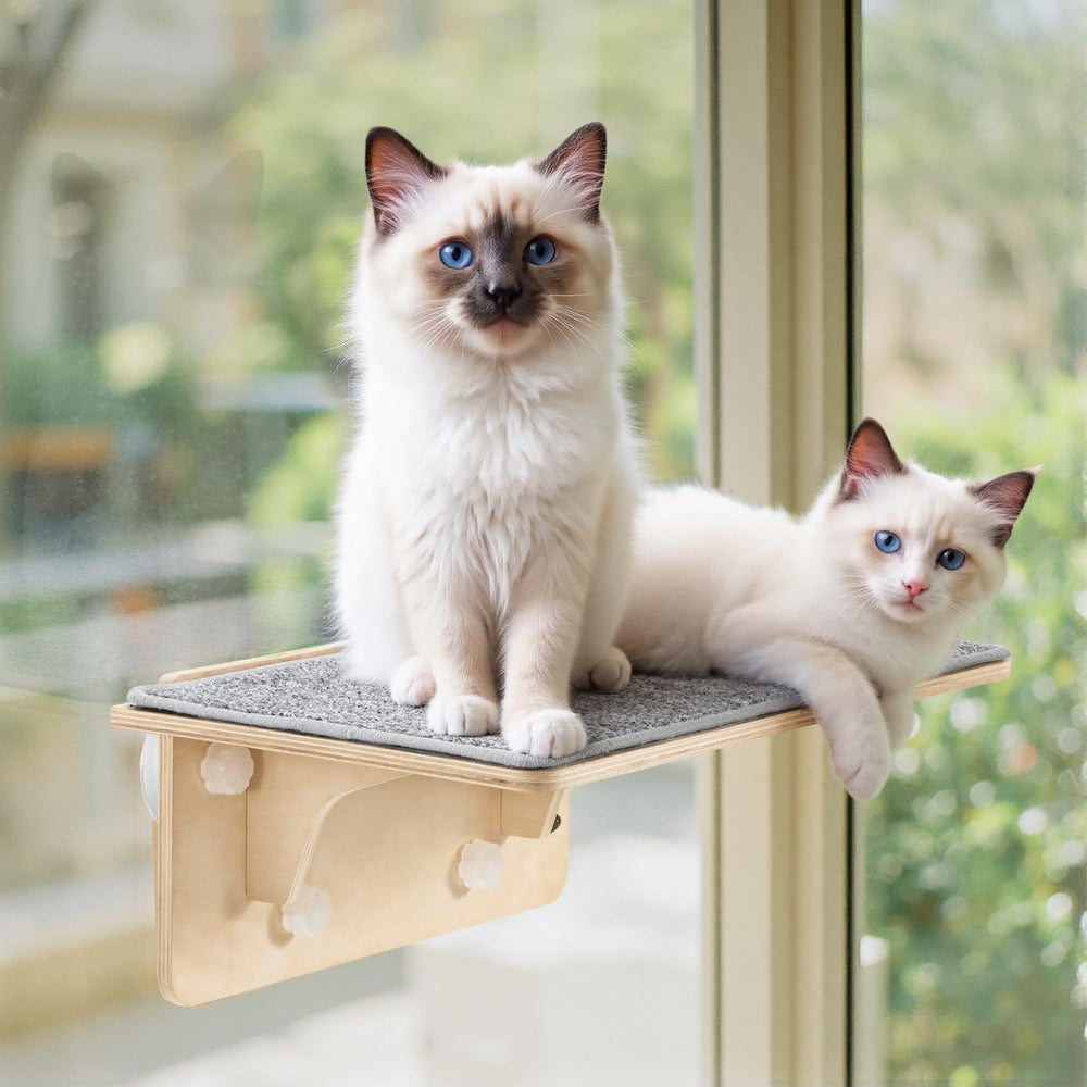 Pecute 2-in-1 cat window perch with wood shelves for sunlit lounging