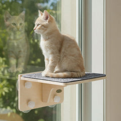 Pecute 2in1 cat window perch frame mounted on wall offers secure elevated rest.