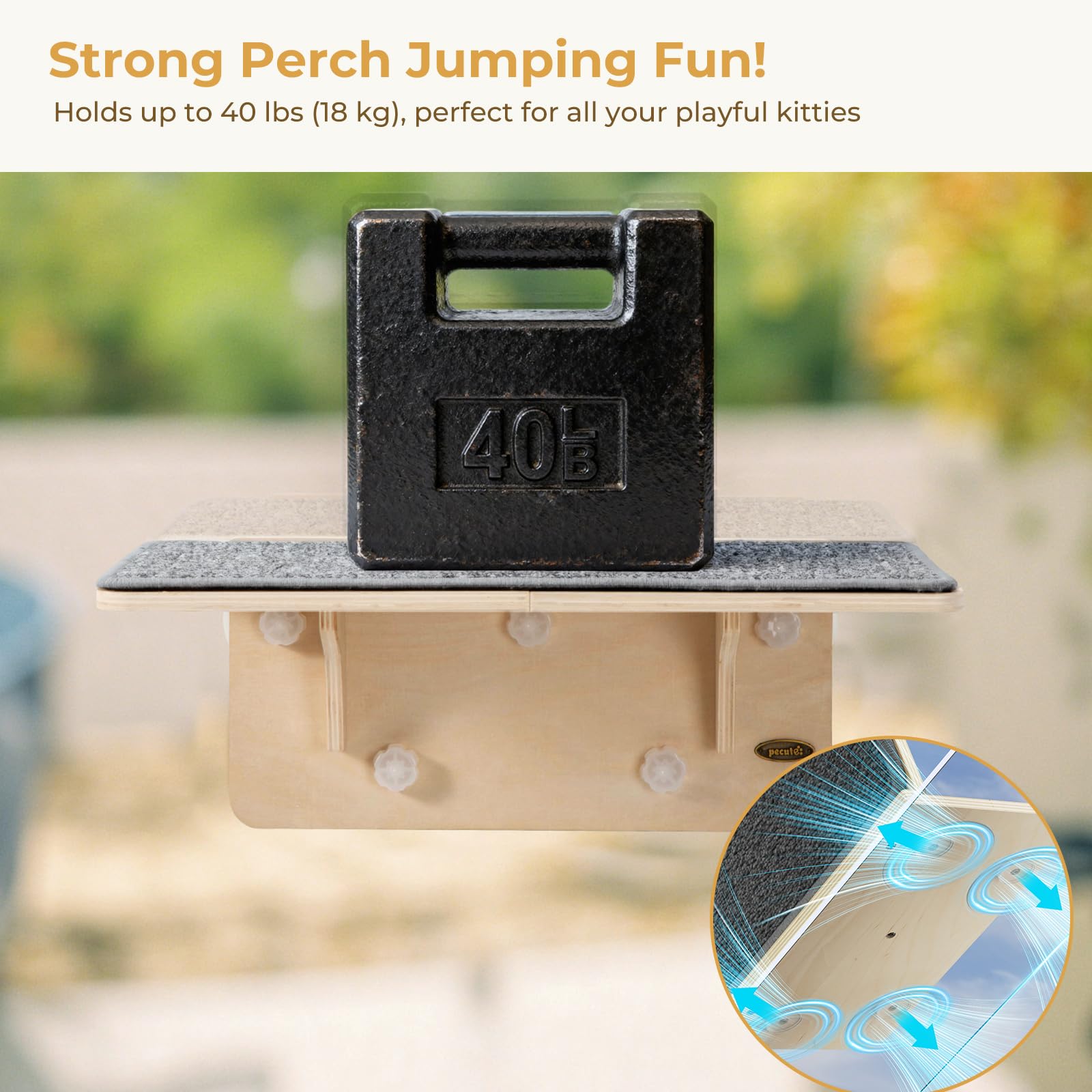 Pecute 40-lb capacity supports larger cats with confidence