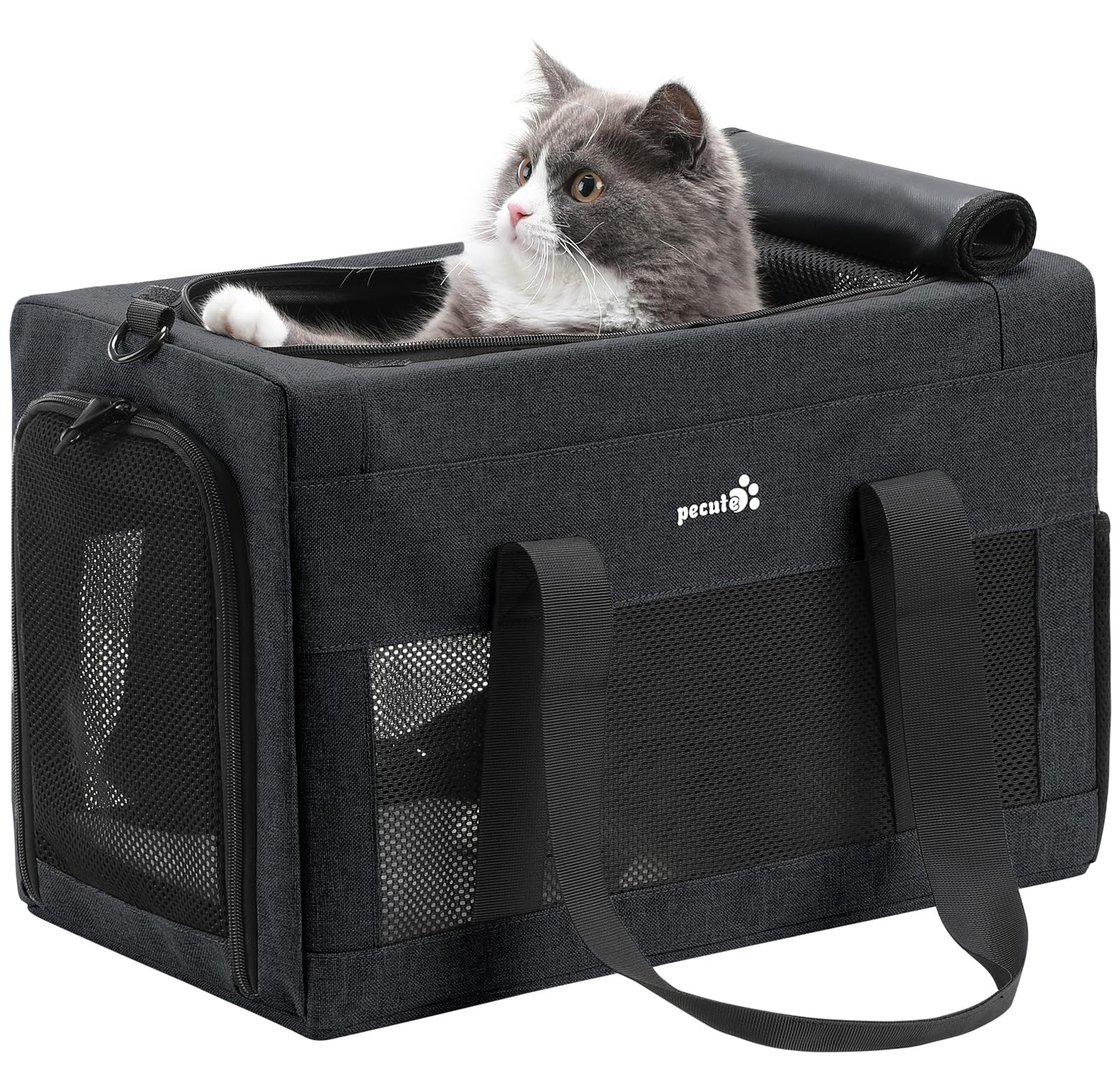 Pecute carrier with stable frame keeps shape during travel