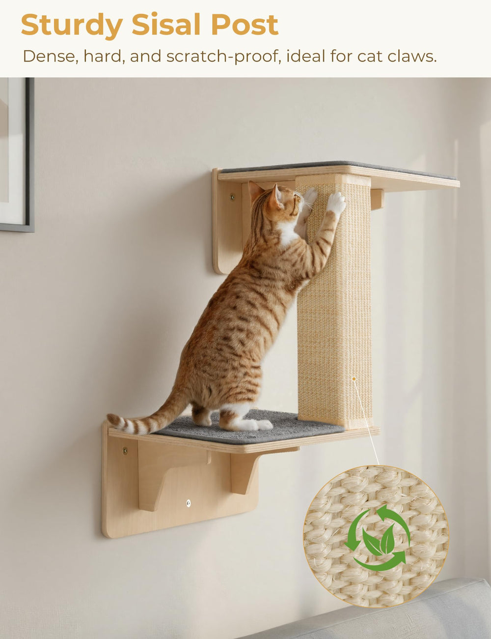 Pecute washable carpet cover gives dirt-resistant comfort that's easy to clean.
