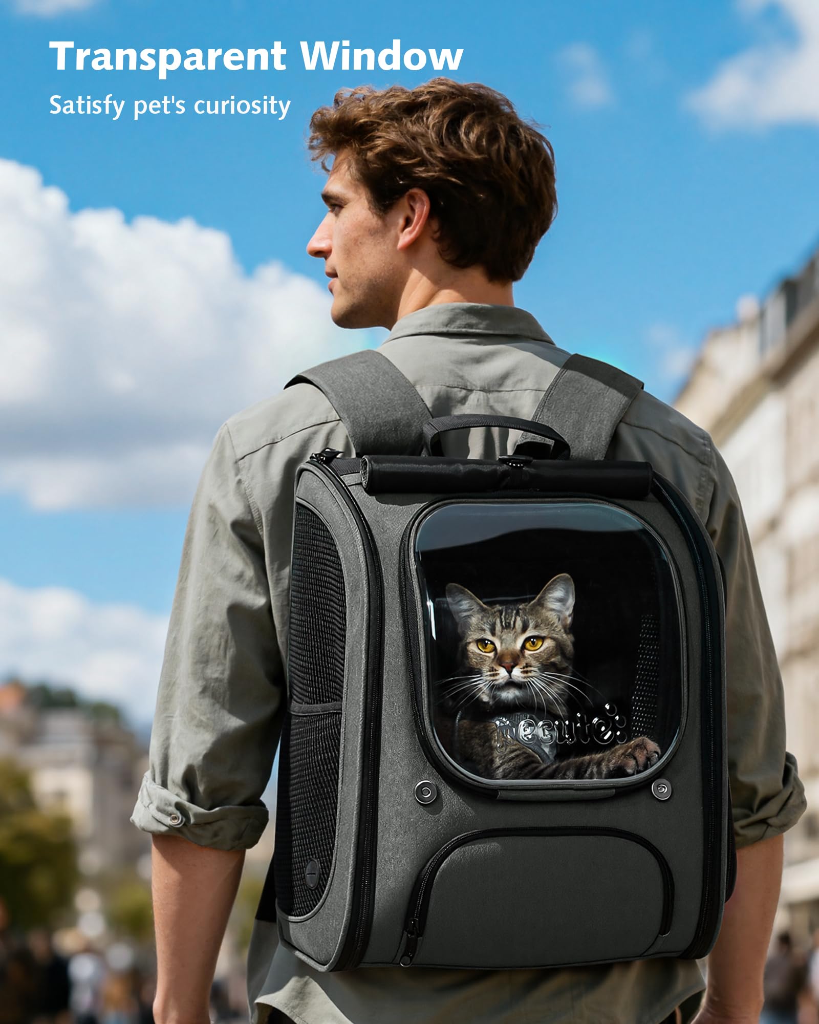 Pecute cat backpack bubble closed shows secure zippers and built-in safety leash