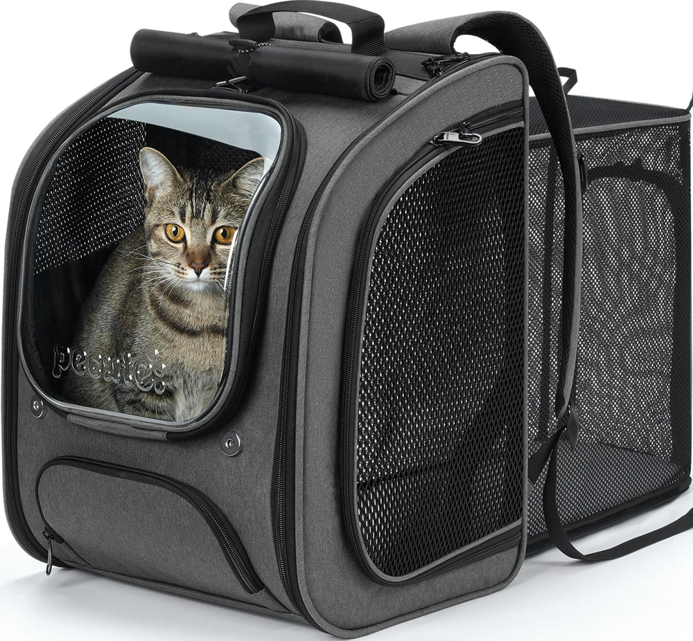 Pecute cat backpack bubble front view shows a safe travel shelter