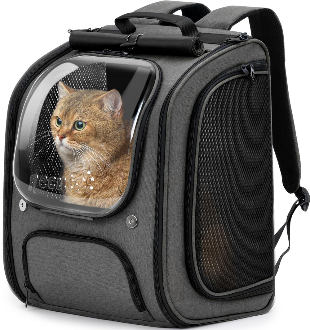 Pecute cat backpack bubble front view, spacious interior for comfortable travel.
