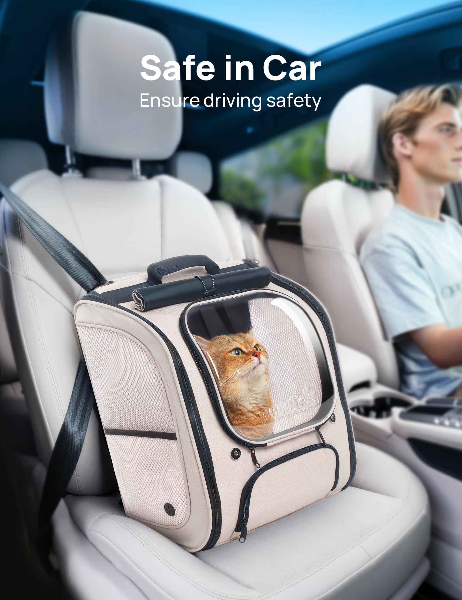 Pecute Cat Backpack Foldable Layout allows compact storage when not in use