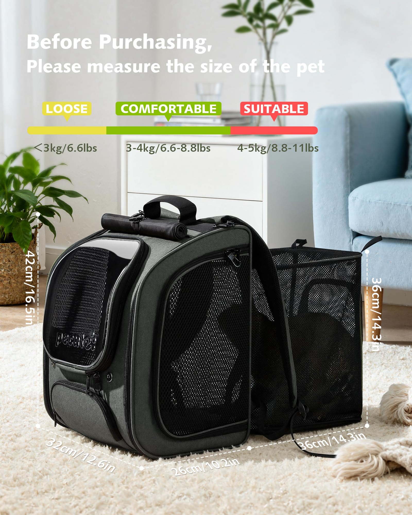 Pecute cat backpack foldable design enables compact storage after trips