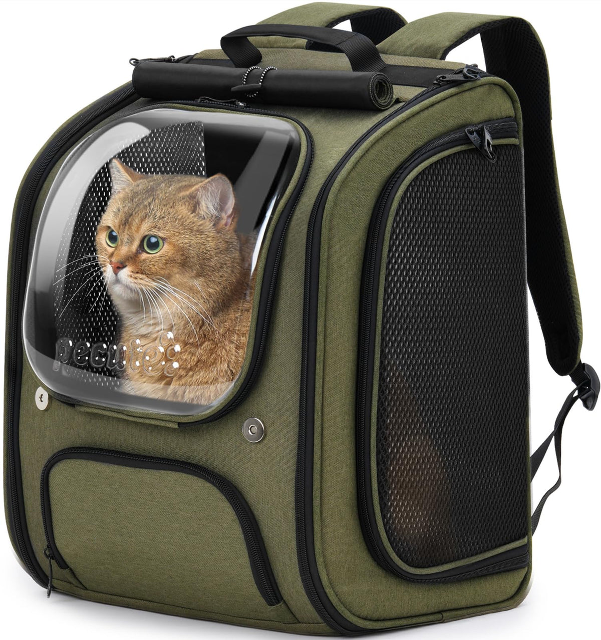 Pecute cat backpack front bubble shows spacious interior for comfortable travel with your pet.