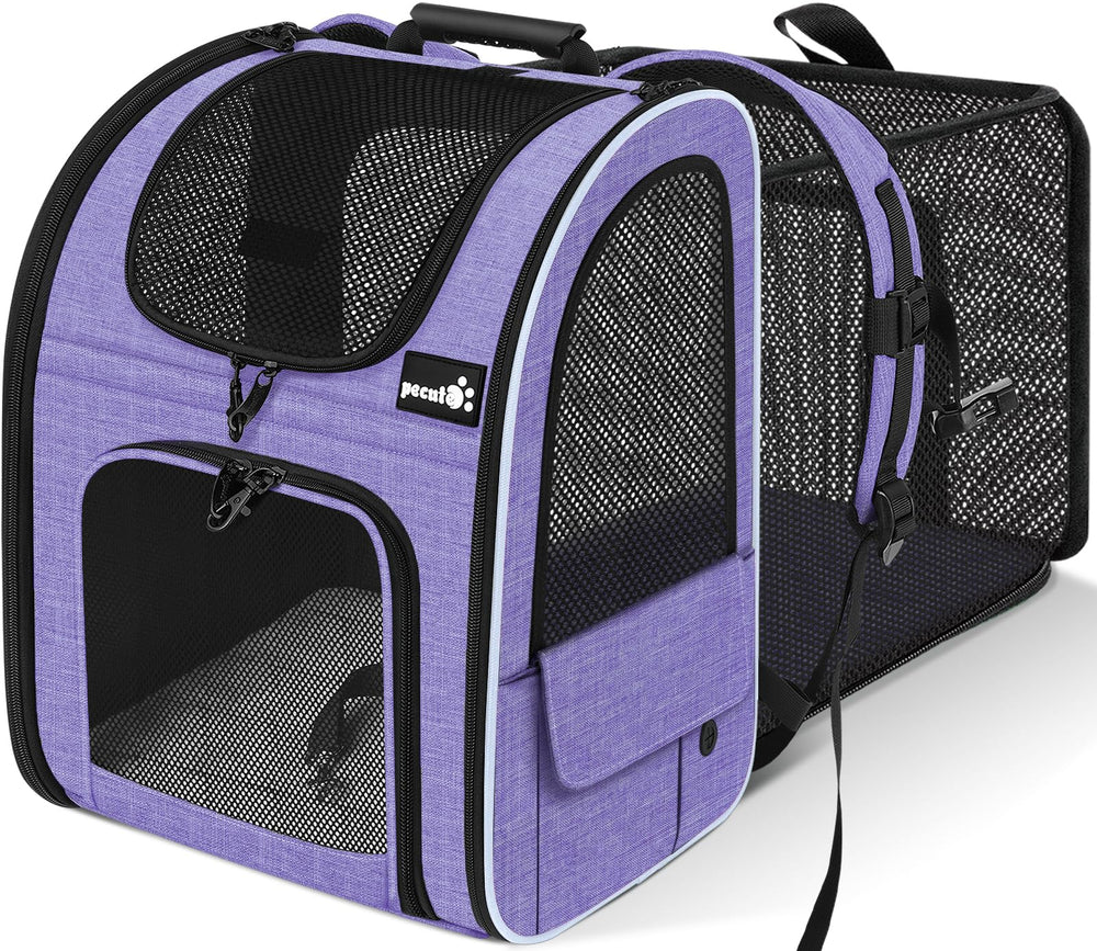 Pecute Cat Backpack Carrier front view, travel-ready and secure for pets.