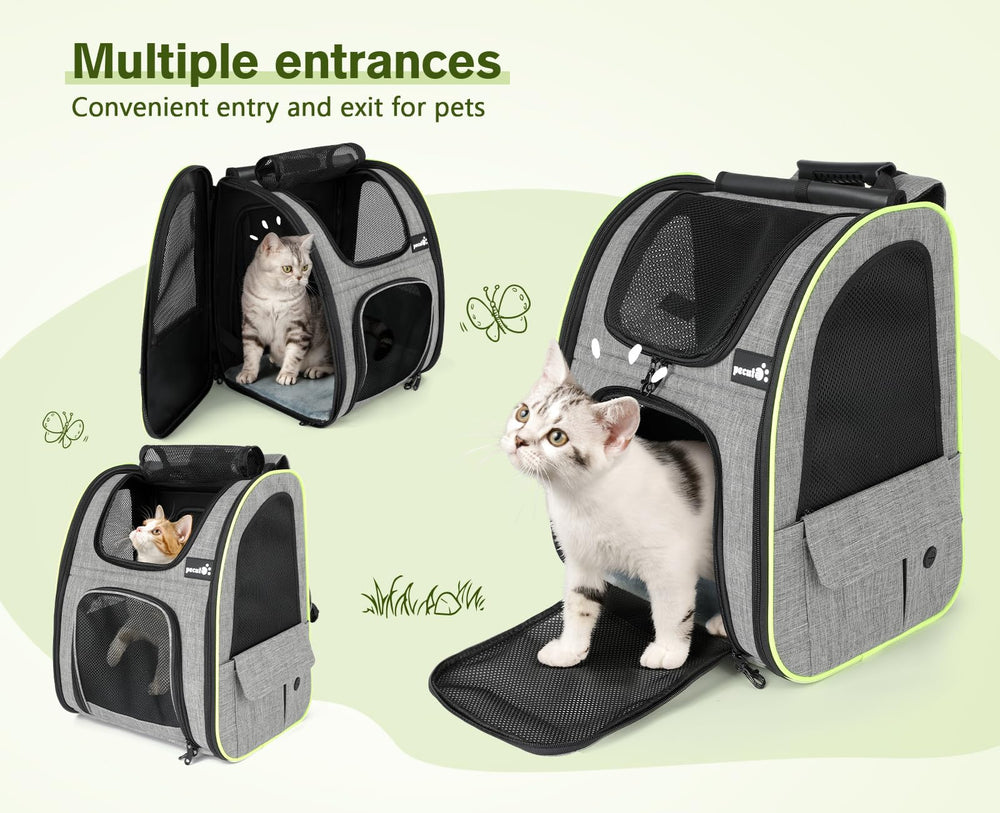 Pecute cat backpack side pockets store essentials like treats and bags