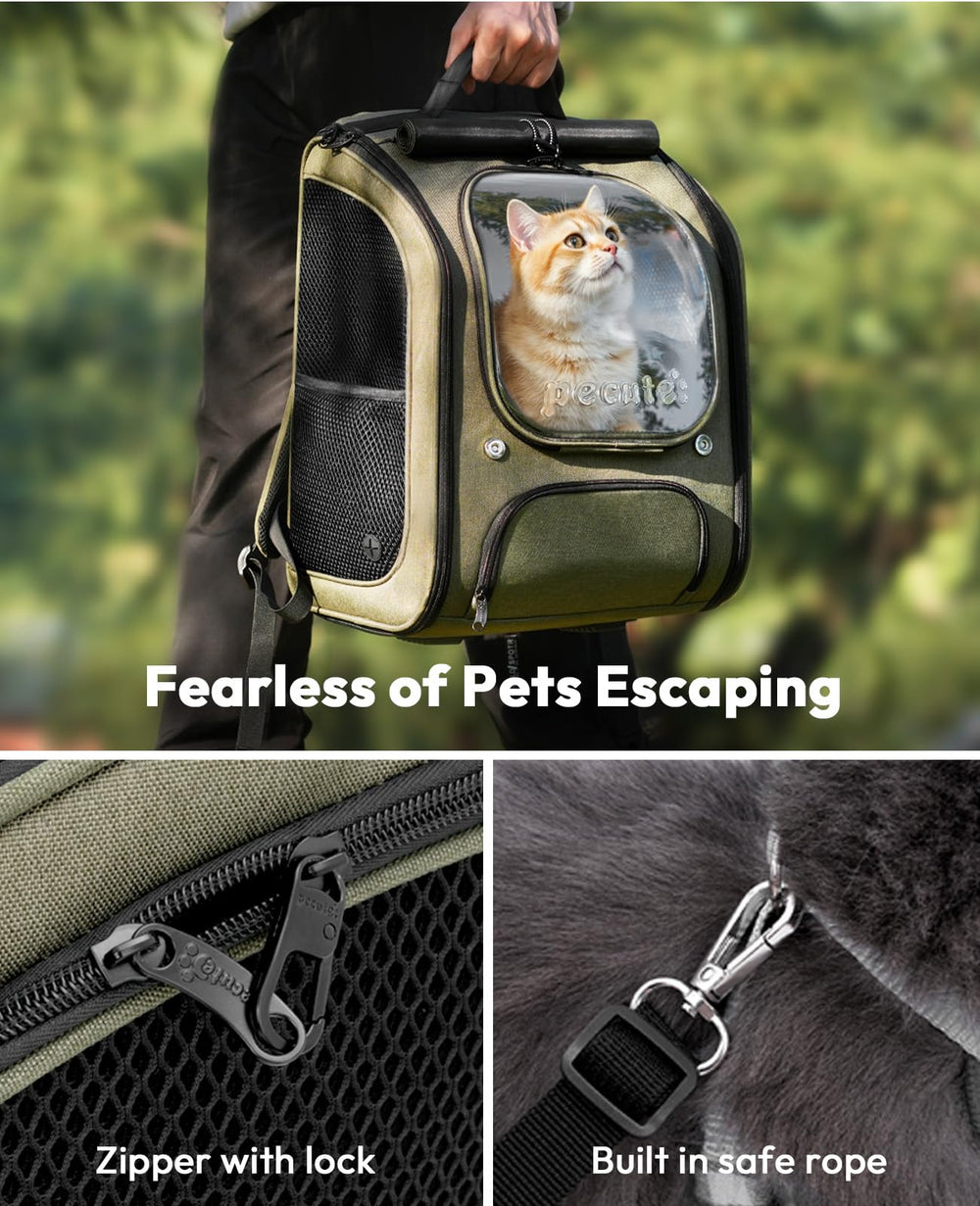 Pecute cat backpack storage pockets organize essentials for travel.
