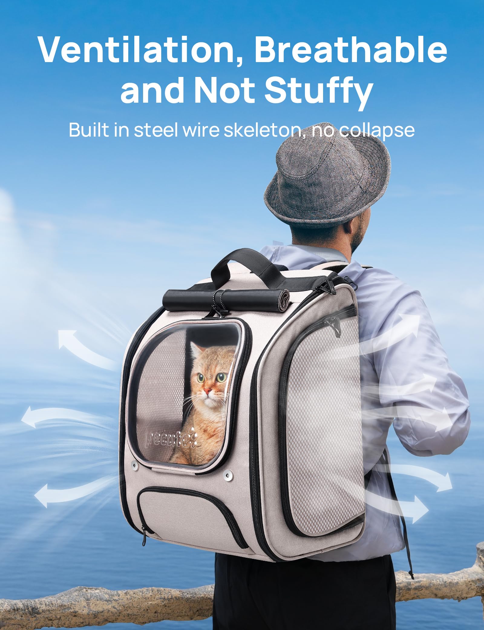 Pecute Cat Backpack Bubble Mesh Sides emphasize breathable airflow and shade