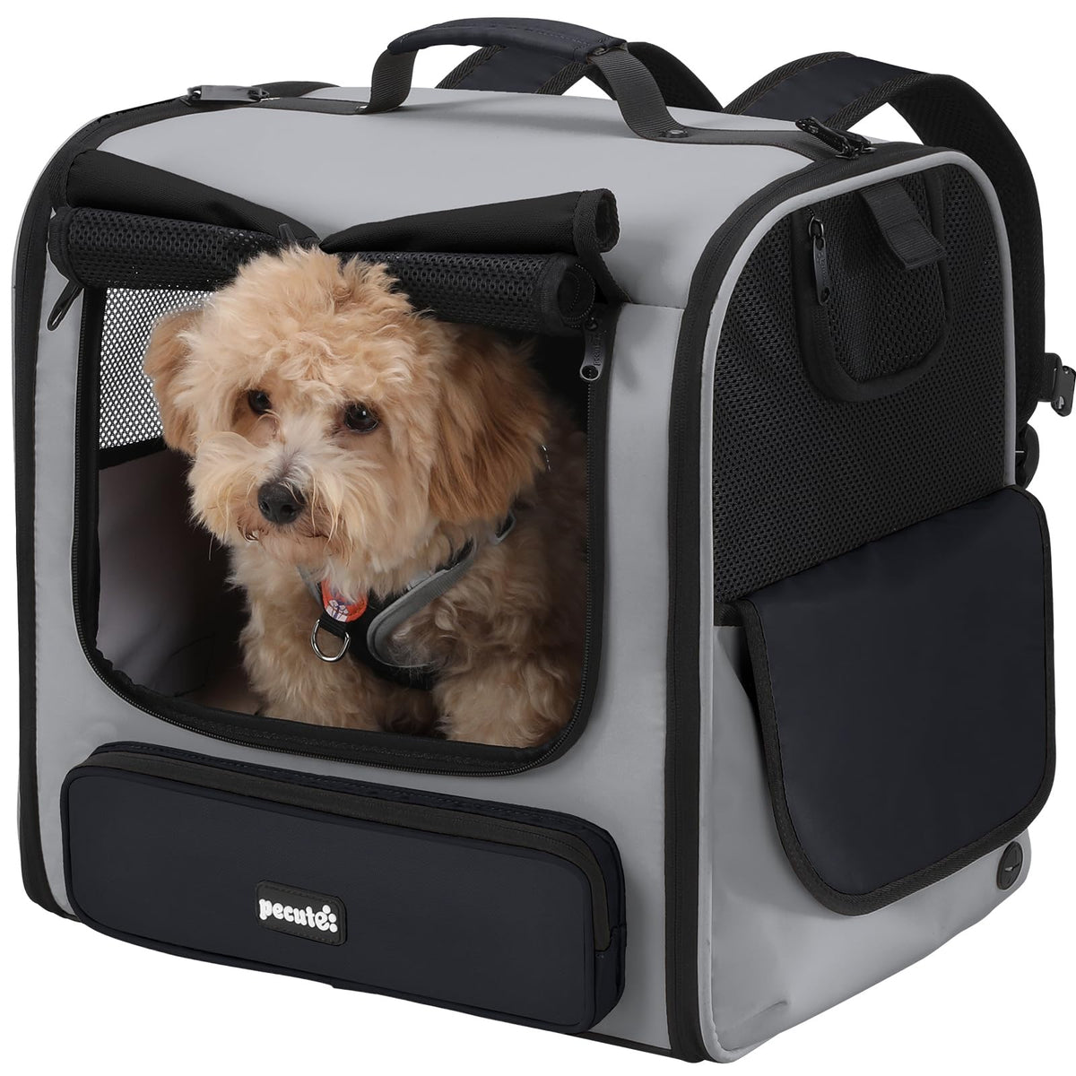 Pecute cat carrier backpack shows a spacious interior for comfortable travel during hikes.