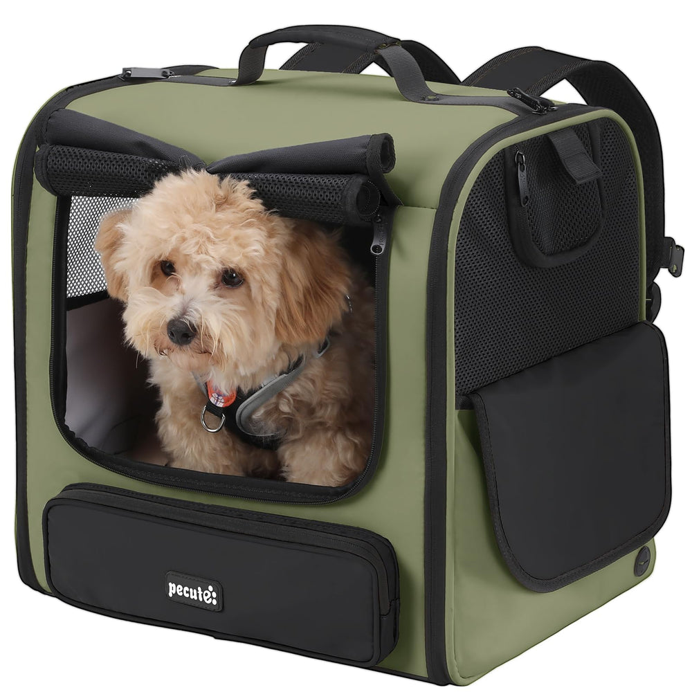 Pecute cat carrier backpack with spacious interior for comfortable travel