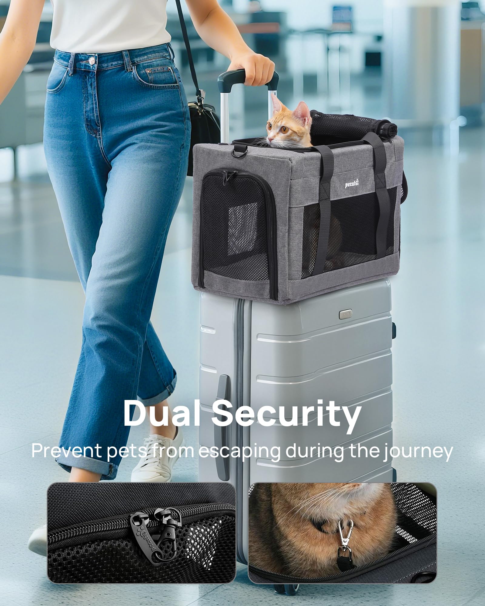 Pecute breathable mesh-windows promote airflow for pet comfort during trips