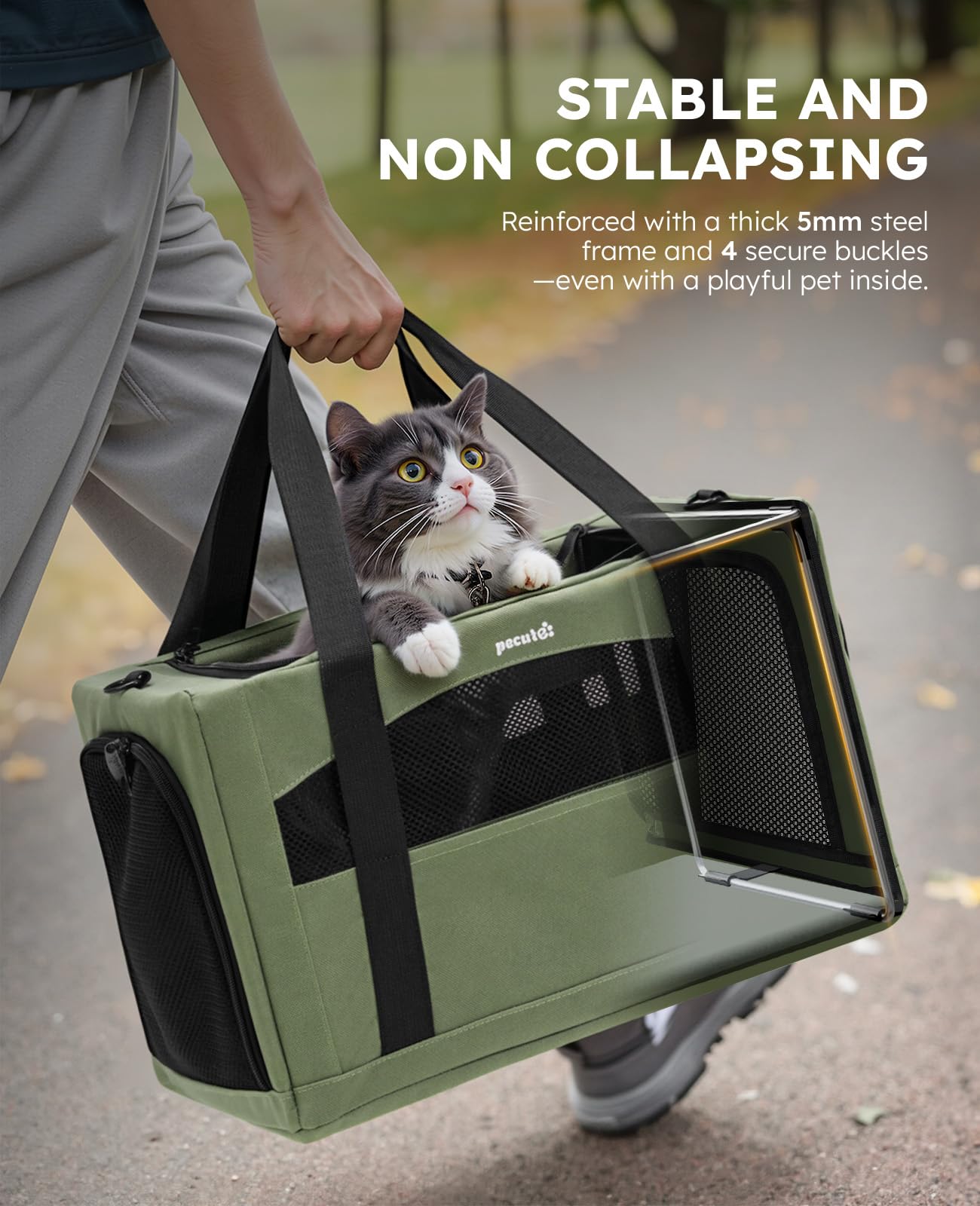 Pecute Cat Carrier breathable-mesh: ample airflow keeps pets comfortable during travel.