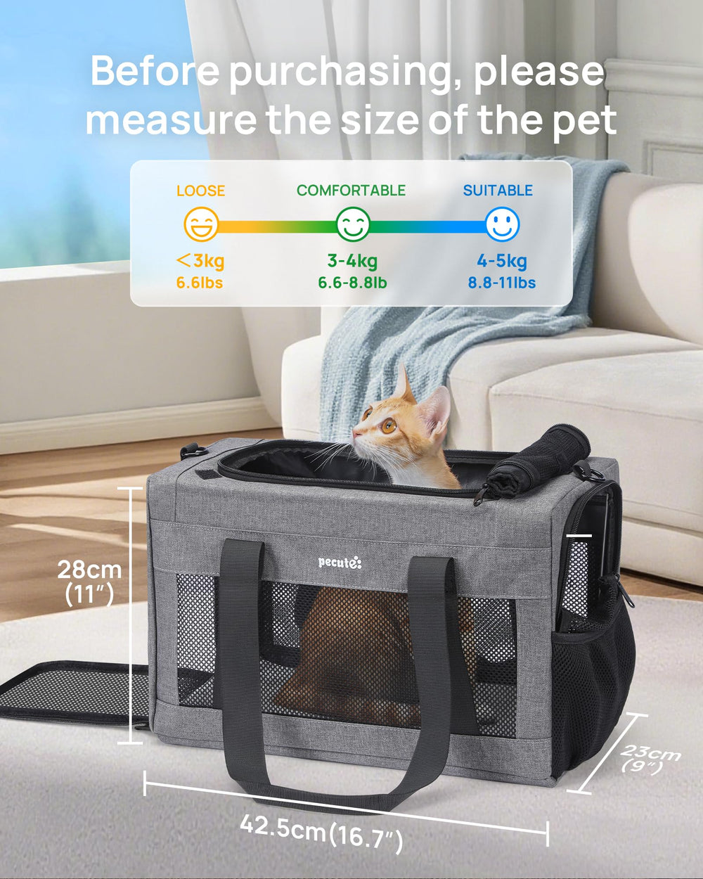Pecute carrier dimensions 44x30x23 cm indicate capacity for pets up to 12 lbs