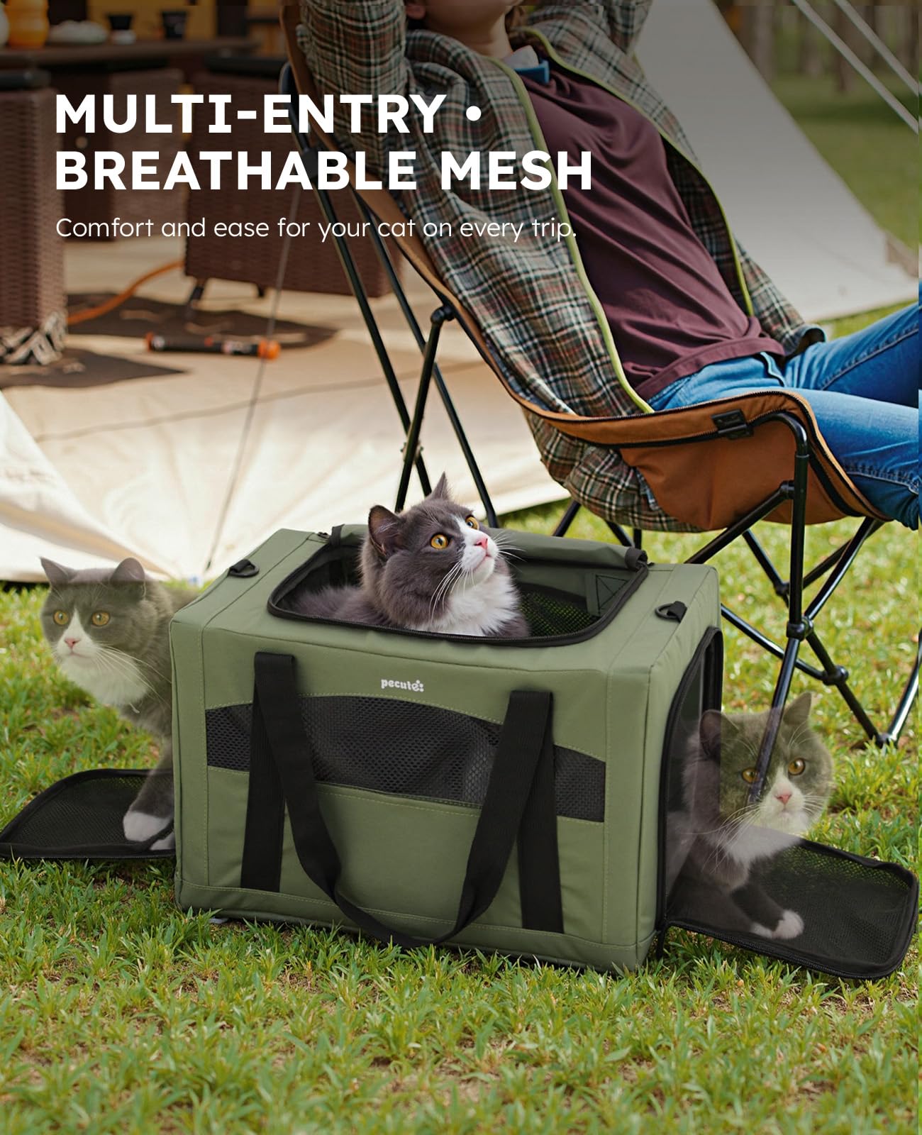 Pecute Cat Carrier honeycomb-board: preserves shape on bumpy journeys.