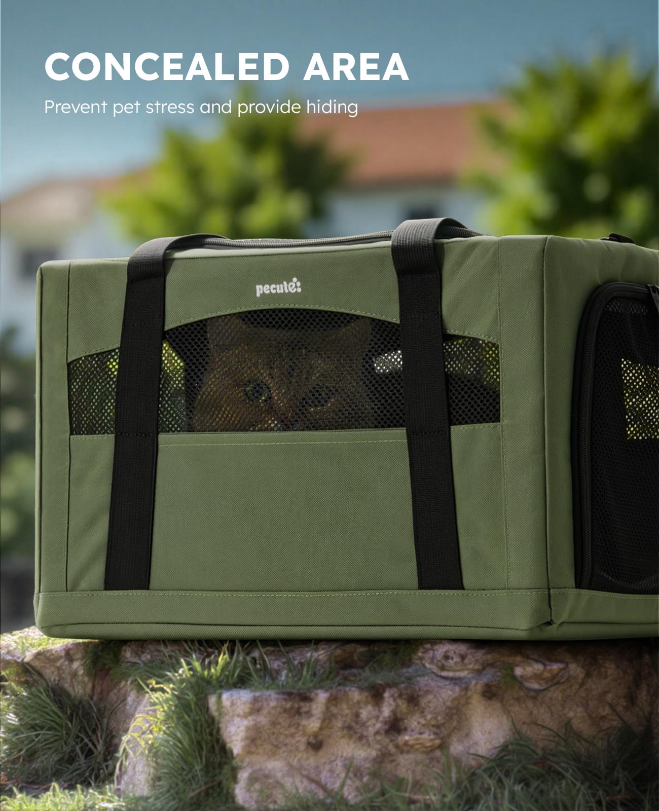Pecute Cat Carrier lockable-entry: prevents escapes during transit.
