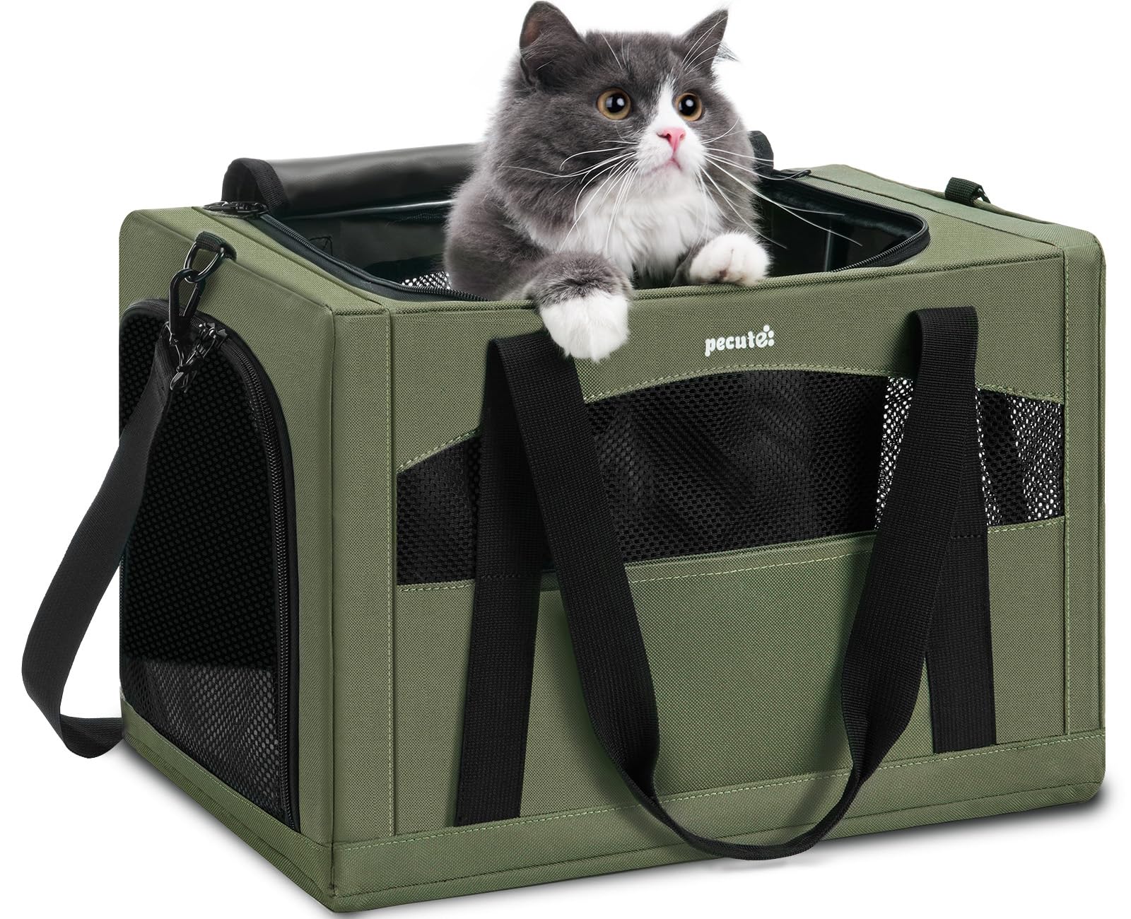 Pecute Cat Carrier stable-frame: rigid support for secure travel.