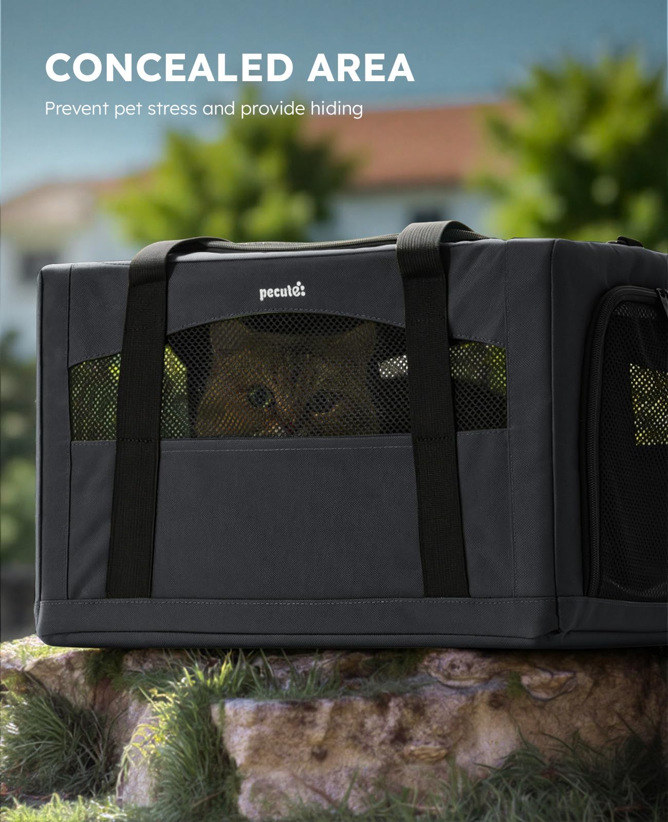 Pecute Cat Carrier Stable XL breathable mesh promotes airflow and pet comfort.