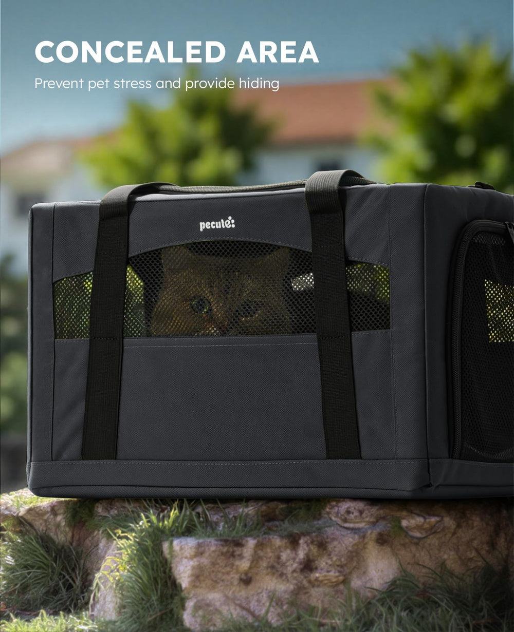 Pecute Cat Carrier Stable XL breathable mesh promotes airflow and pet comfort.