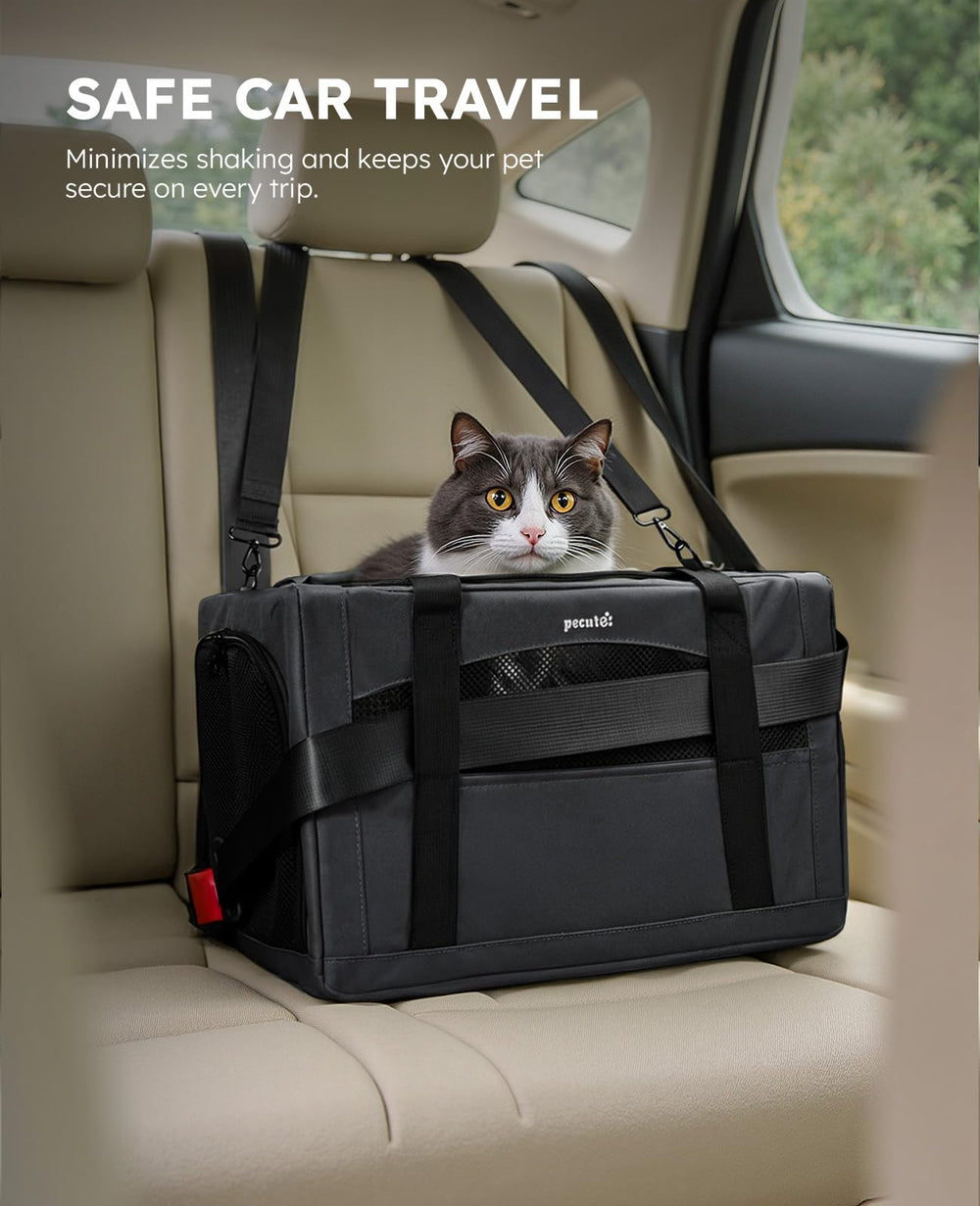 Pecute Cat Carrier Stable XL honeycomb board adds rigidity while keeping interior comfortable.