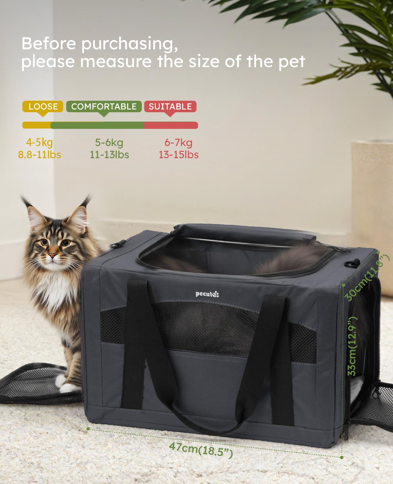 Pecute Cat Carrier Stable XL visible breathable zone reduces anxiety in unfamiliar settings.