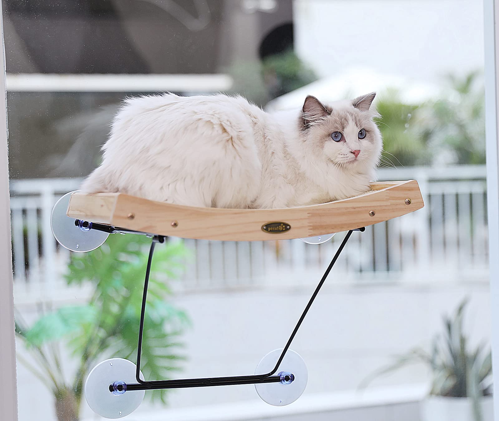 Pecute cat window perch with sisal scratcher for sunny playtime