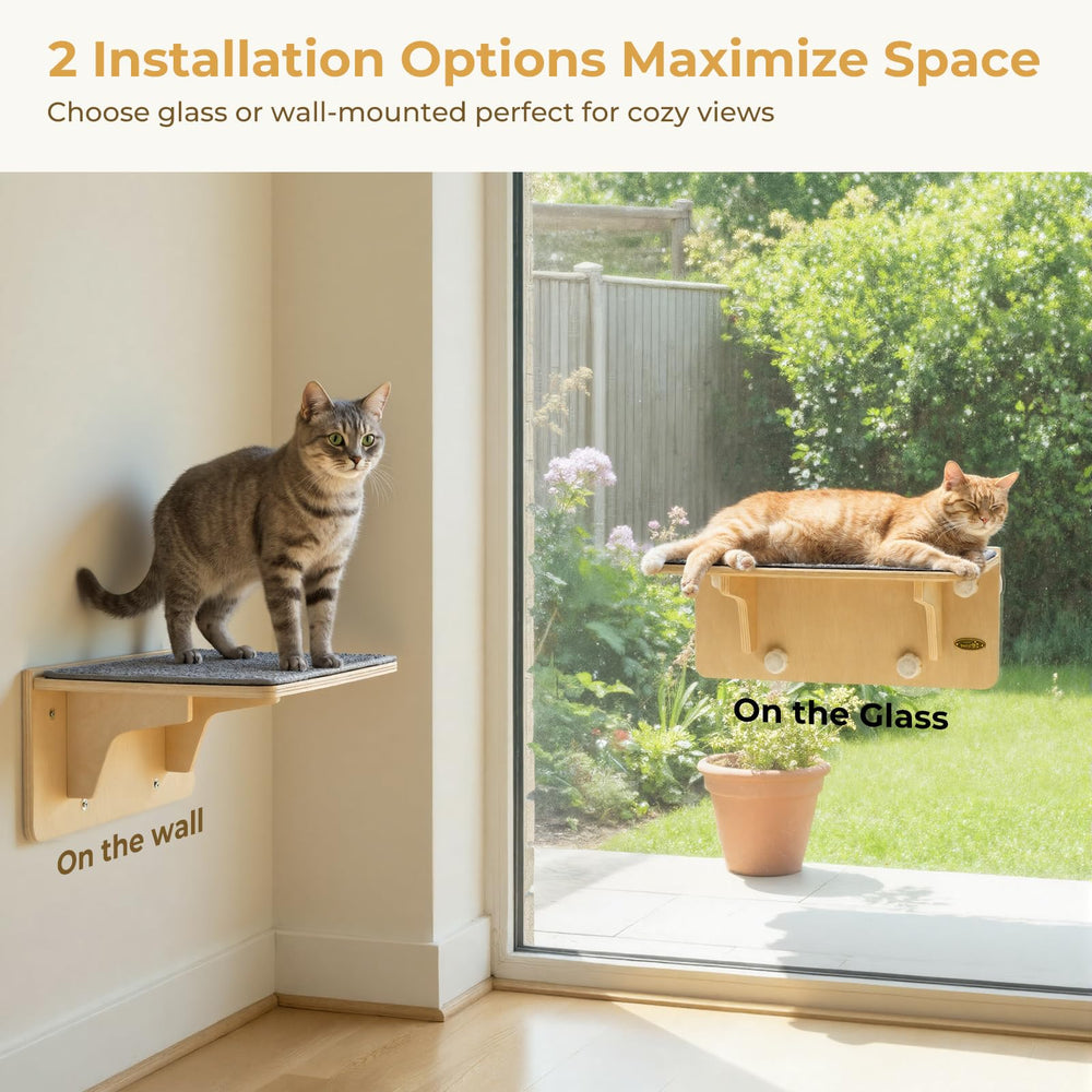 Pecute cat window perch with suction cups for secure wall or window use