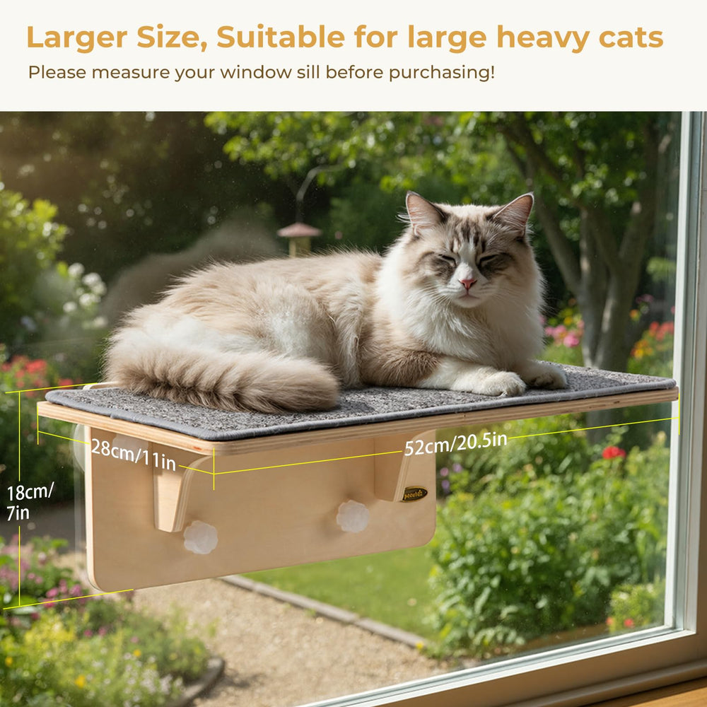 Pecute window seat with strong suction cups secured to glass