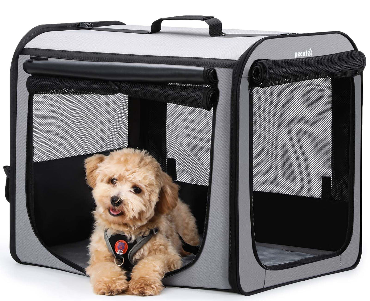 Pecute dog carrier assembly demonstrates quick setup for hassle-free travels