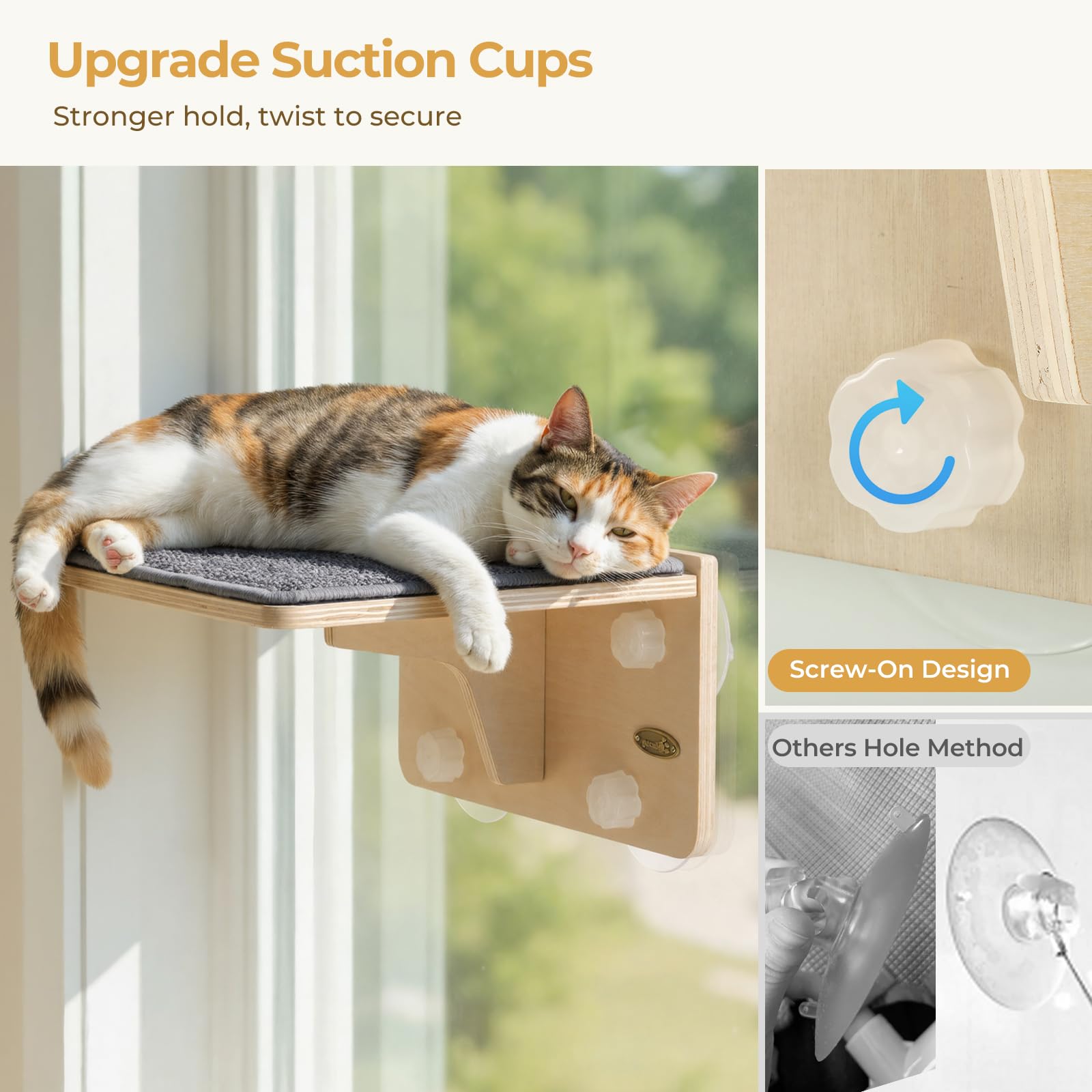 Pecute easy no-tools assembly makes setup quick and painless.