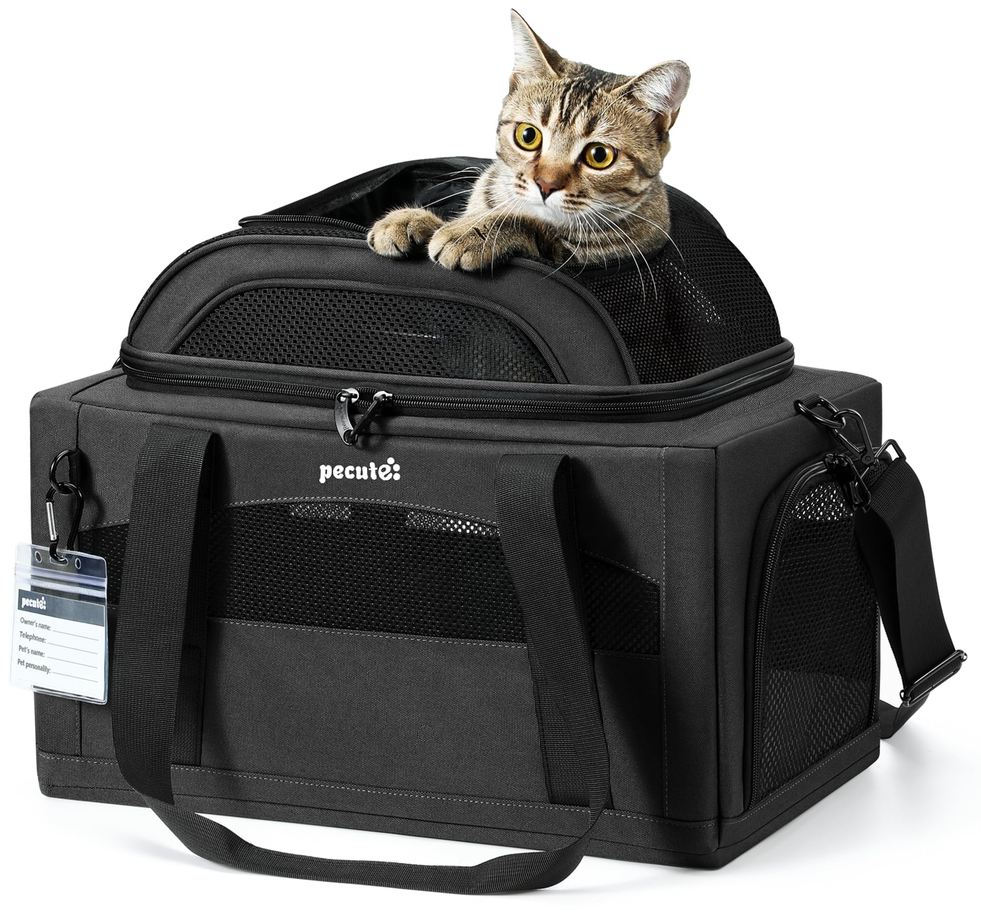 Pecute Expandable Pet Carrier under-seat design supports airline travel and compact storage.