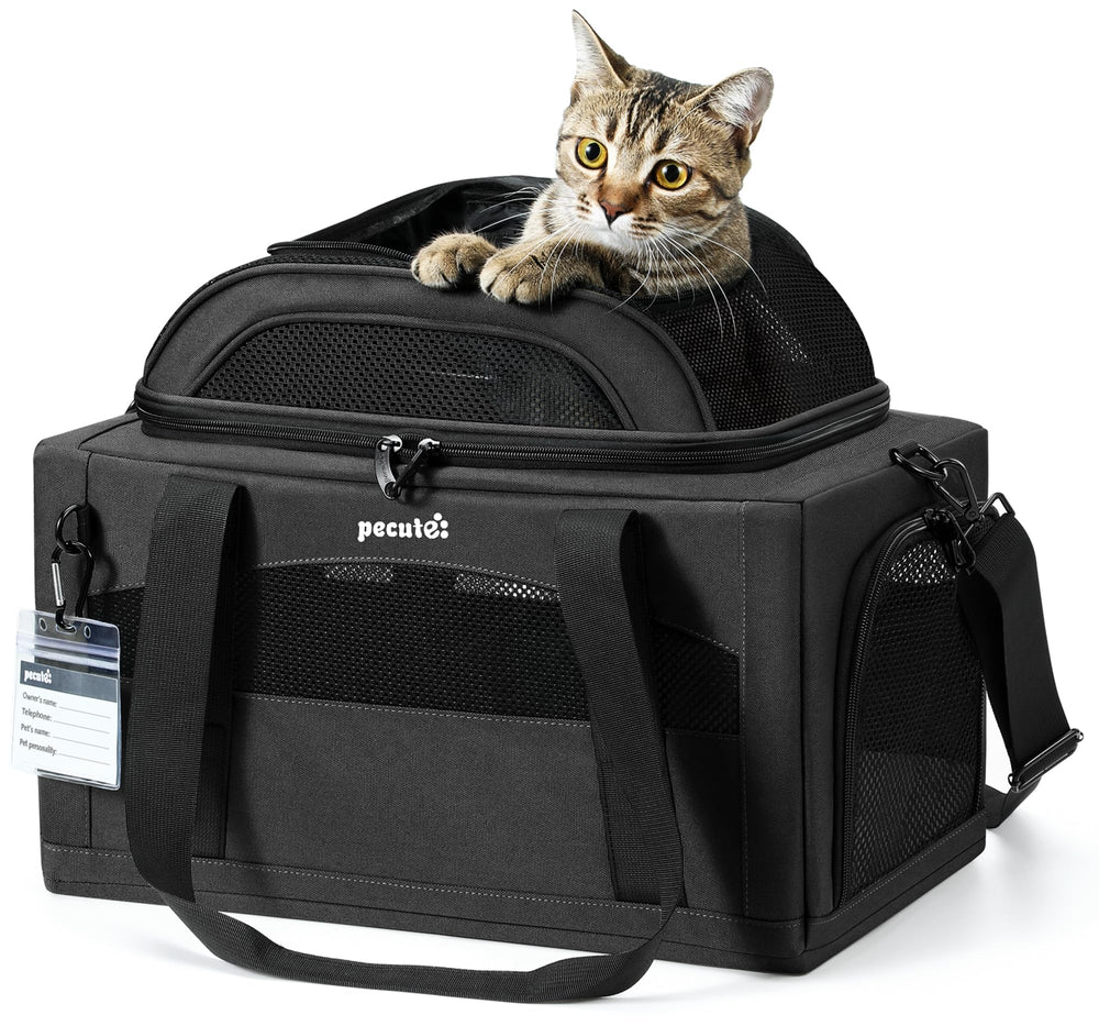Pecute Expandable Pet Carrier under-seat design supports airline travel and compact storage.