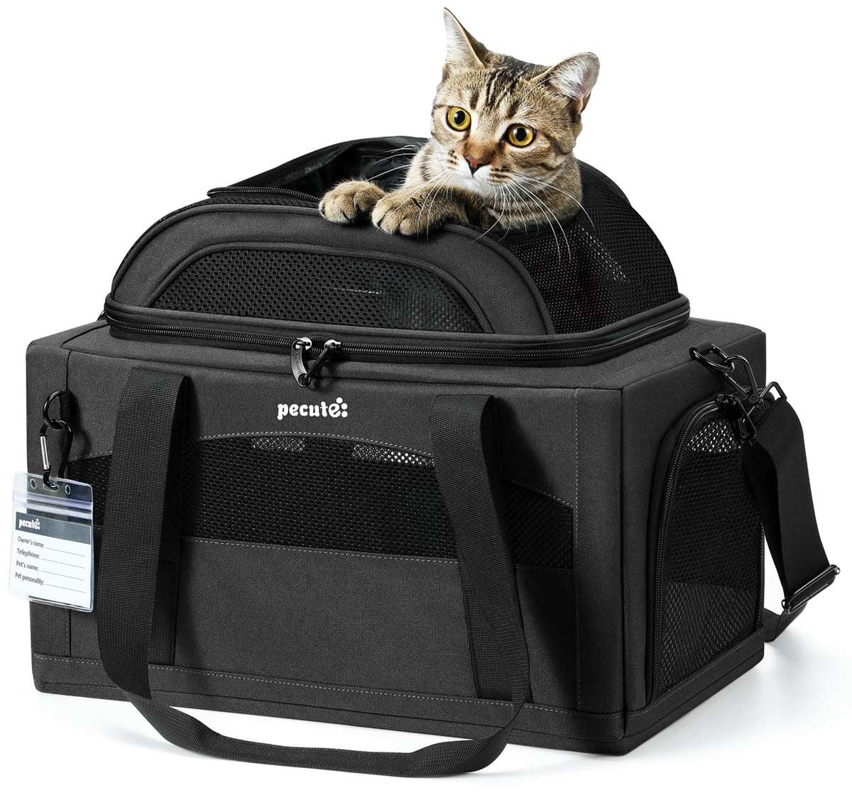 Pecute Expandable Pet Carrier under-seat design supports airline travel and compact storage.