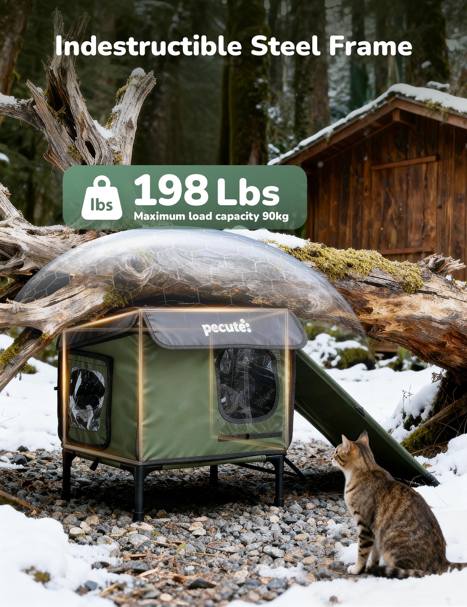 Pecute raised-floor design keeps paws dry by lifting from damp ground.